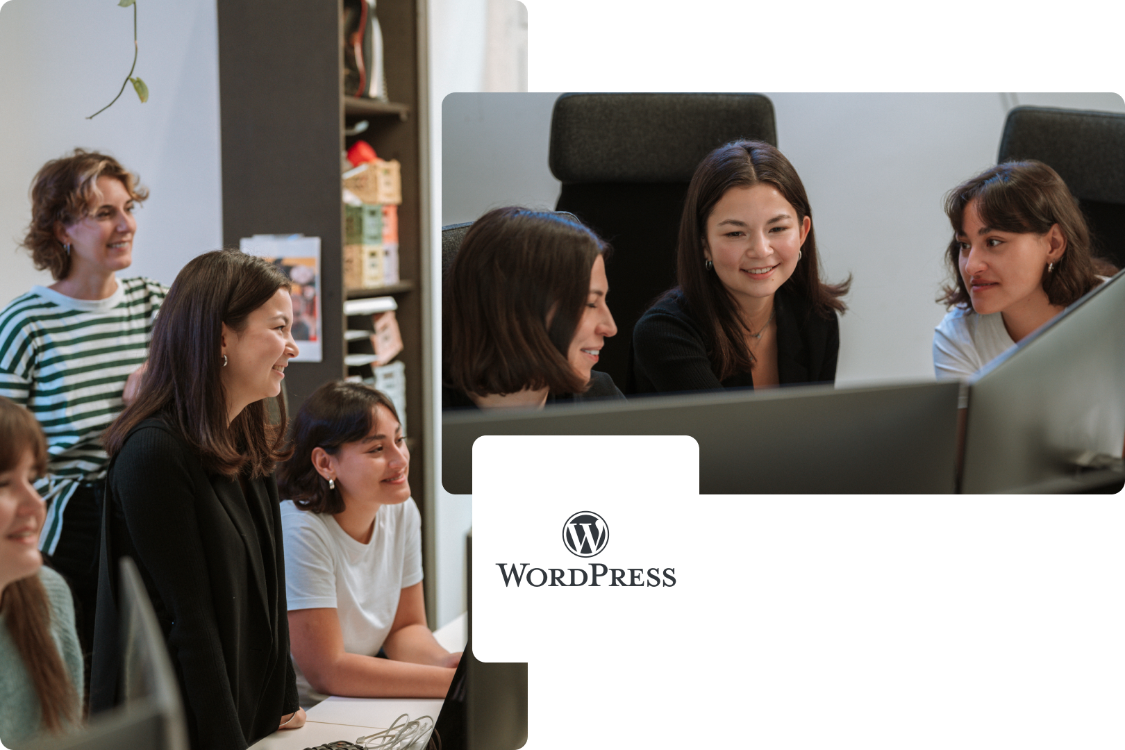 WordPress-Wartung-Concierge-Service-Wordpress-LAUDO