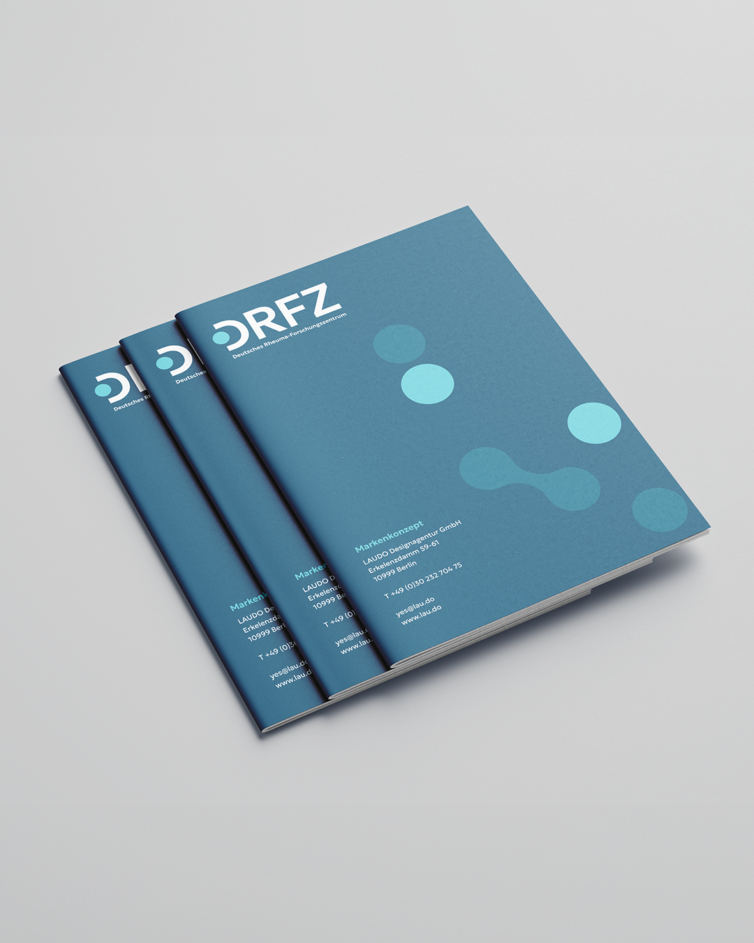 240904_DRFZ_Brochure_1080x1350_MH.