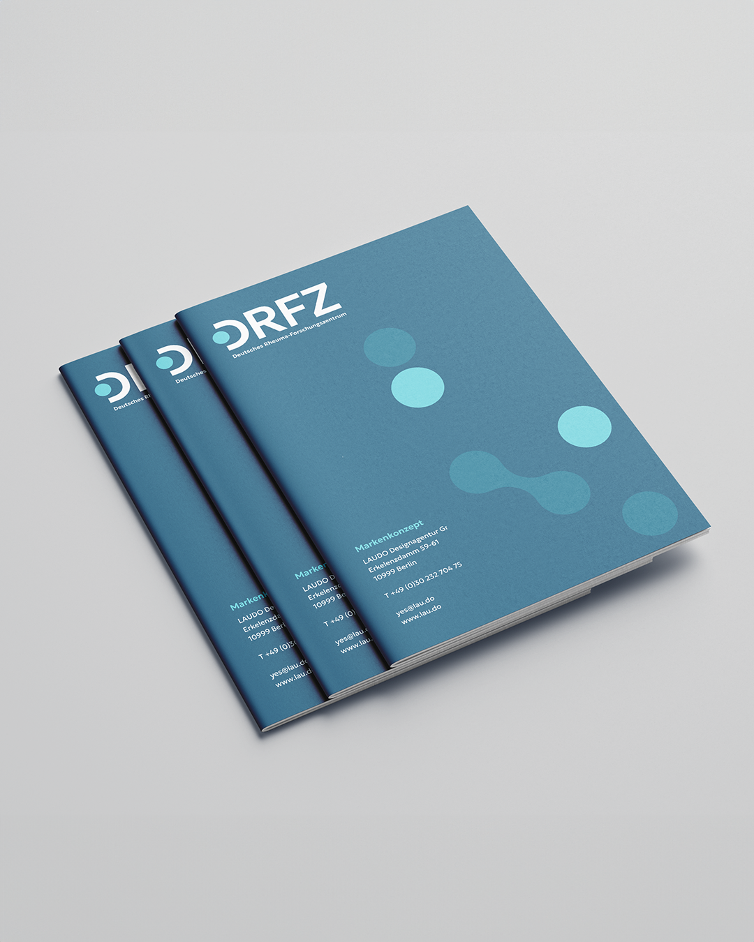 240904_DRFZ_Brochure_1080x1350_MH.