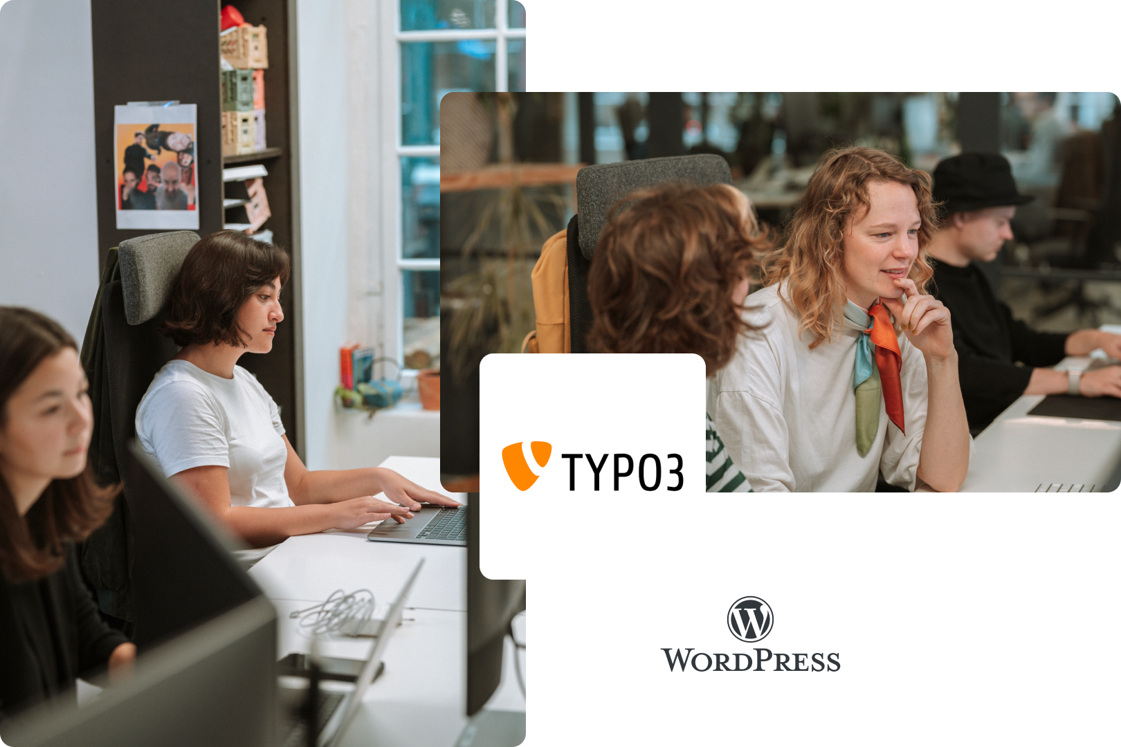 typo3-wordpress-migration-laudo-vergleich