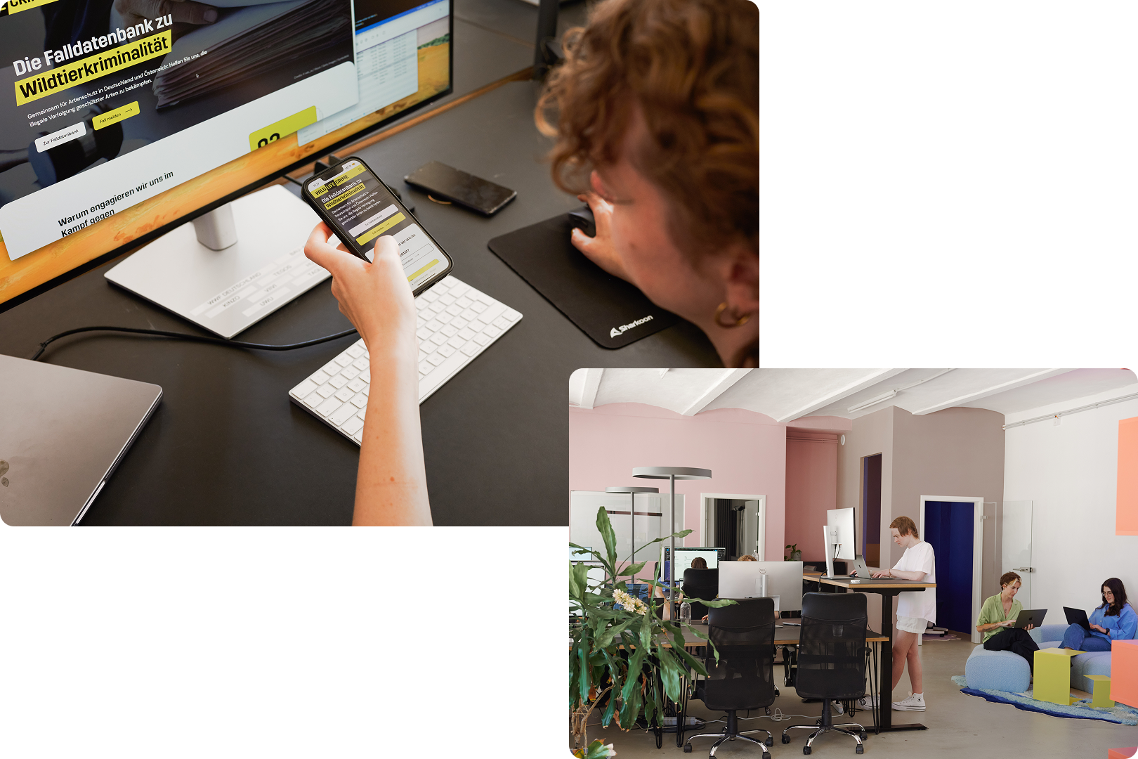 b2b-webdesign-laudo-ux-ui-optimierung-1