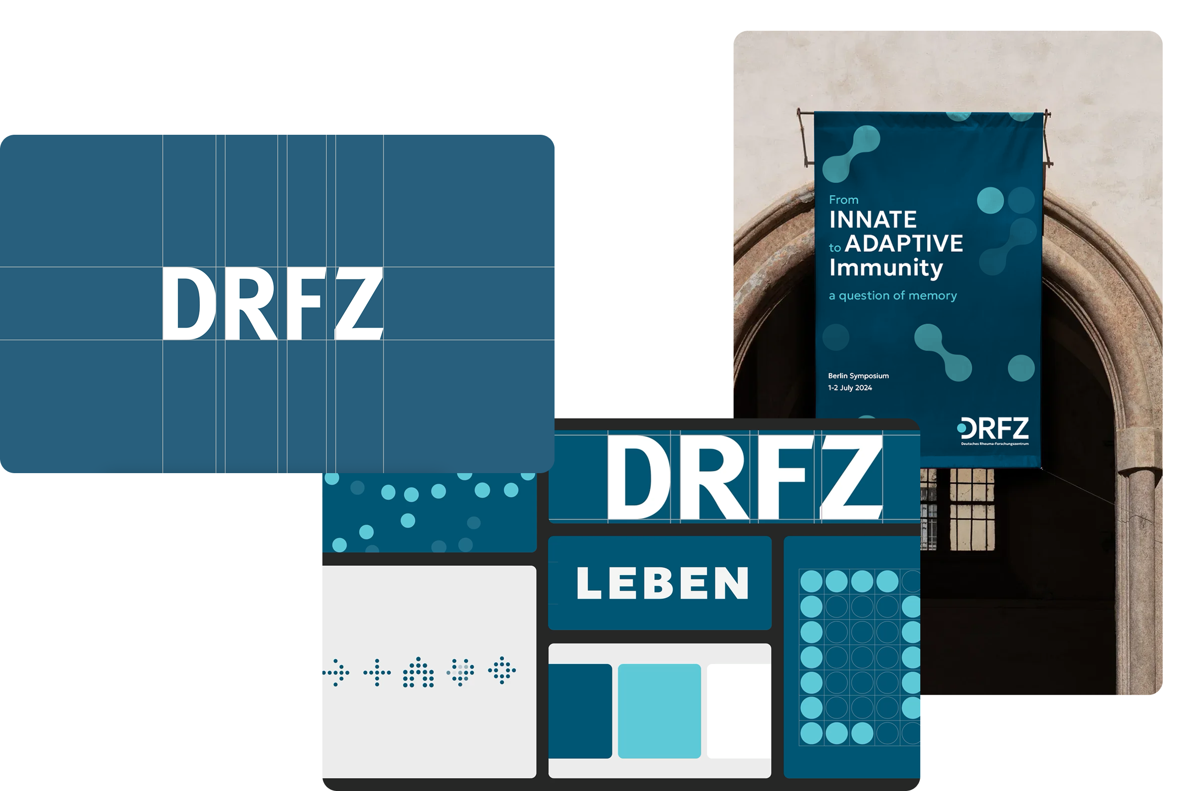 drfz-brand-webdesign-laudo1