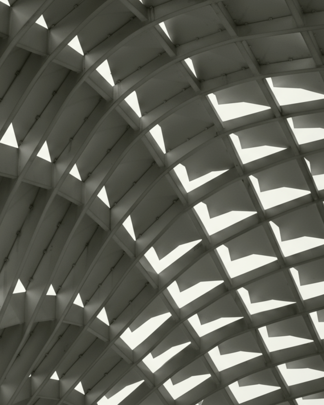 Aleph_Alpha_image-portfolio